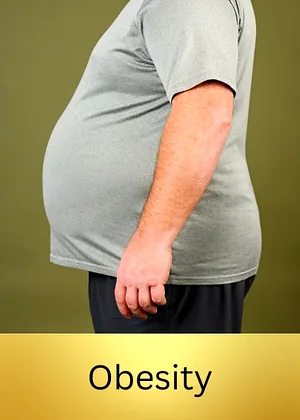 Obesity care Unani products at Unani Wellness